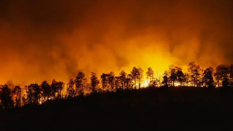 Vista nocturna de un incendio forestal: la silueta oscura de una ladera arbolada se recorta contra una línea de árboles en llamas en la cresta, bajo una densa columna de humo iluminada en tonos naranja y ámbar que se degrada a negro